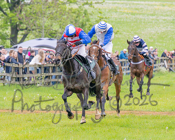 Race 2 - Conditions 2 miles 4 Furlongs (58 of 112)