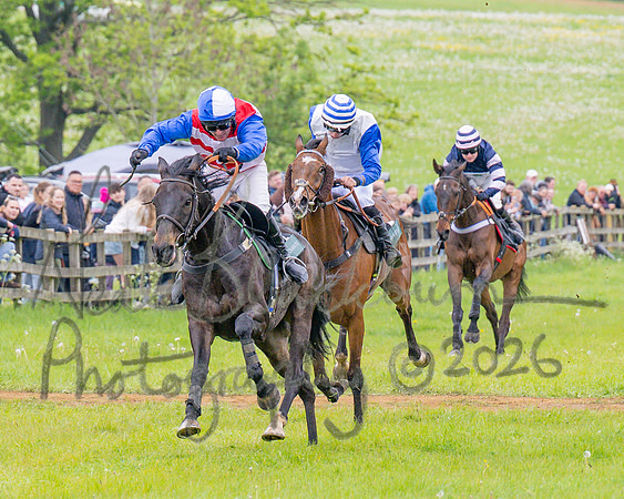 Race 2 - Conditions 2 miles 4 Furlongs (59 of 112)