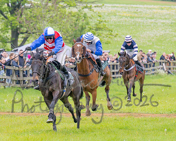 Race 2 - Conditions 2 miles 4 Furlongs (60 of 112)