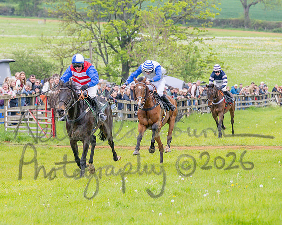 Race 2 - Conditions 2 miles 4 Furlongs (61 of 112)