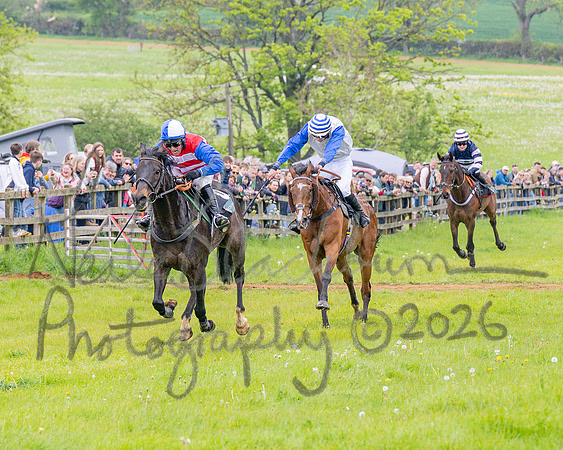 Race 2 - Conditions 2 miles 4 Furlongs (62 of 112)