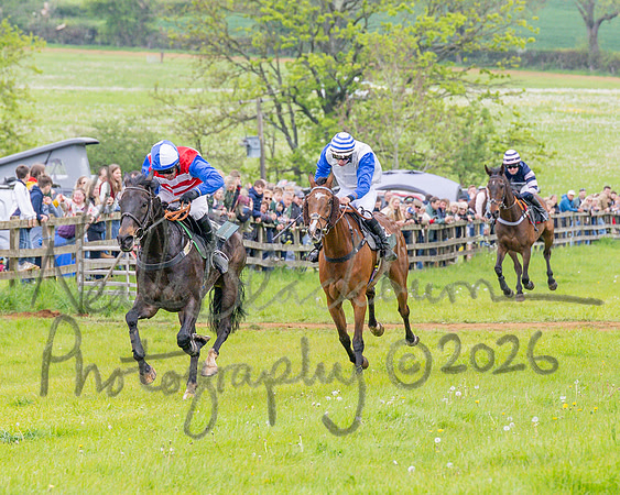 Race 2 - Conditions 2 miles 4 Furlongs (63 of 112)