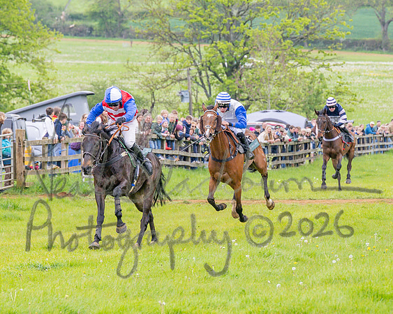 Race 2 - Conditions 2 miles 4 Furlongs (64 of 112)