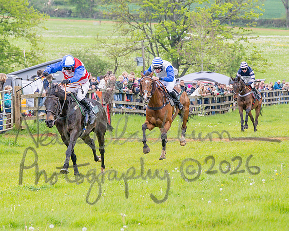 Race 2 - Conditions 2 miles 4 Furlongs (65 of 112)