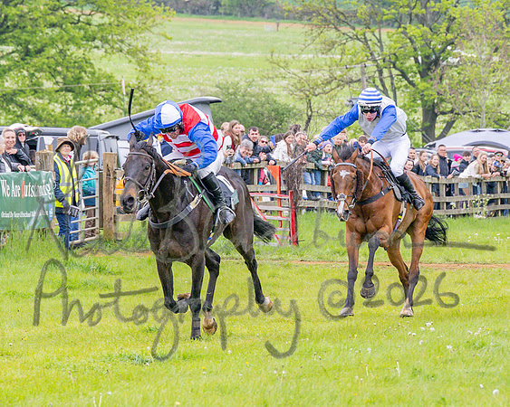 Race 2 - Conditions 2 miles 4 Furlongs (66 of 112)