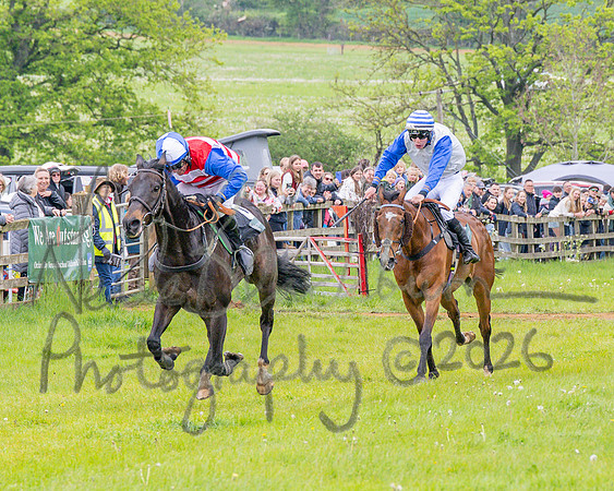 Race 2 - Conditions 2 miles 4 Furlongs (67 of 112)