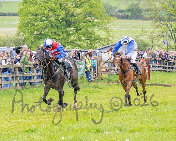 Race 2 - Conditions 2 miles 4 Furlongs (68 of 112)