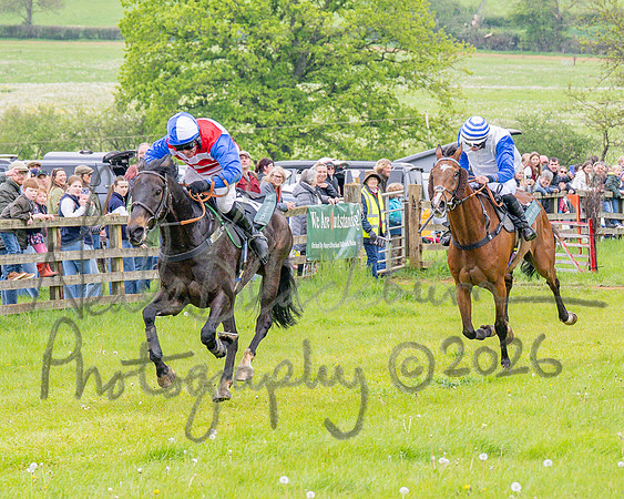 Race 2 - Conditions 2 miles 4 Furlongs (69 of 112)