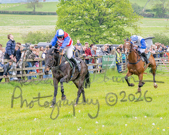 Race 2 - Conditions 2 miles 4 Furlongs (70 of 112)