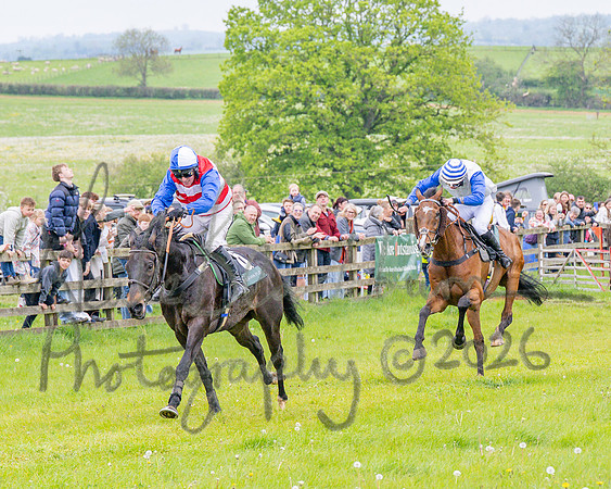 Race 2 - Conditions 2 miles 4 Furlongs (71 of 112)
