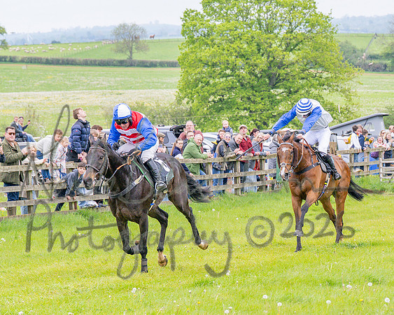 Race 2 - Conditions 2 miles 4 Furlongs (72 of 112)