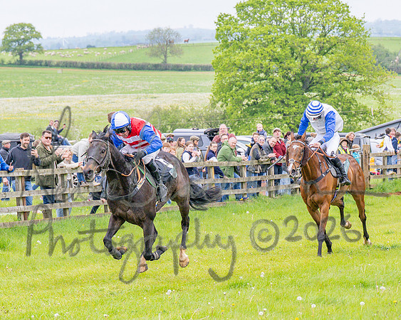 Race 2 - Conditions 2 miles 4 Furlongs (73 of 112)