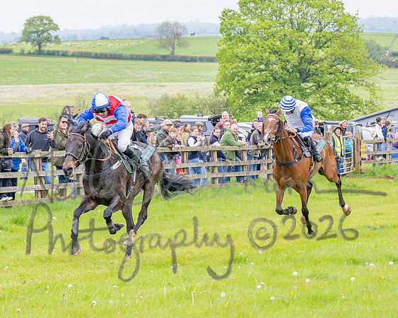 Race 2 - Conditions 2 miles 4 Furlongs (74 of 112)