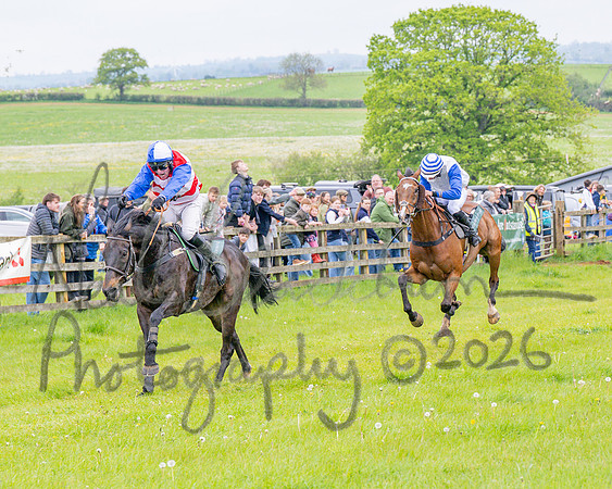 Race 2 - Conditions 2 miles 4 Furlongs (75 of 112)