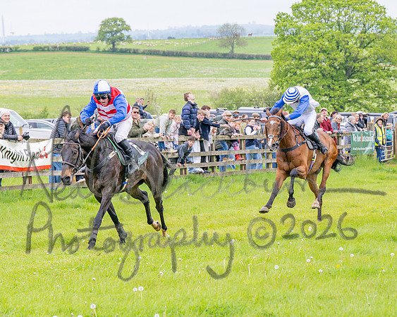 Race 2 - Conditions 2 miles 4 Furlongs (76 of 112)