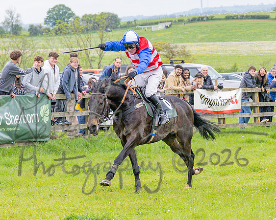 Race 2 - Conditions 2 miles 4 Furlongs (77 of 112)