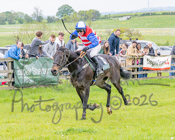 Race 2 - Conditions 2 miles 4 Furlongs (78 of 112)