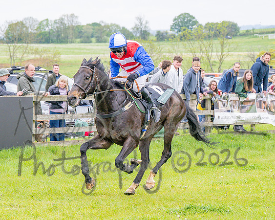 Race 2 - Conditions 2 miles 4 Furlongs (79 of 112)