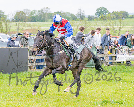 Race 2 - Conditions 2 miles 4 Furlongs (80 of 112)
