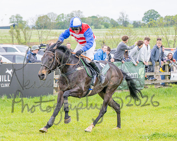 Race 2 - Conditions 2 miles 4 Furlongs (81 of 112)