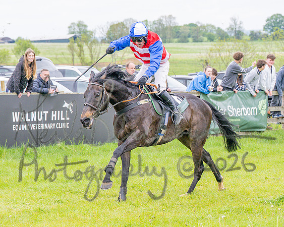 Race 2 - Conditions 2 miles 4 Furlongs (82 of 112)