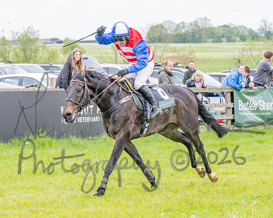 Race 2 - Conditions 2 miles 4 Furlongs (84 of 112)