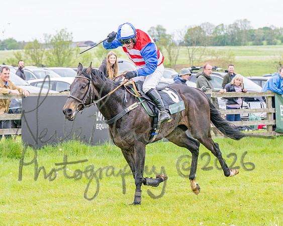 Race 2 - Conditions 2 miles 4 Furlongs (85 of 112)