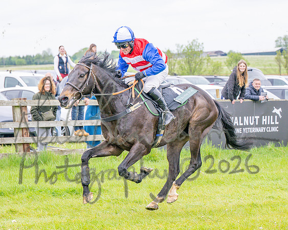 Race 2 - Conditions 2 miles 4 Furlongs (86 of 112)