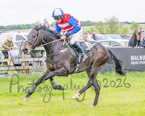 Race 2 - Conditions 2 miles 4 Furlongs (87 of 112)