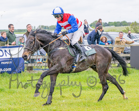 Race 2 - Conditions 2 miles 4 Furlongs (89 of 112)