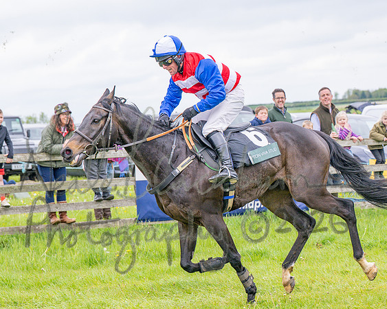 Race 2 - Conditions 2 miles 4 Furlongs (91 of 112)