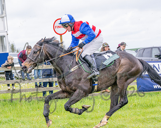 Race 2 - Conditions 2 miles 4 Furlongs (94 of 112)