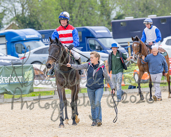 Race 2 - Conditions 2 miles 4 Furlongs (96 of 112)