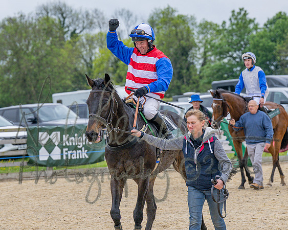 Race 2 - Conditions 2 miles 4 Furlongs (98 of 112)