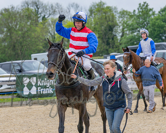 Race 2 - Conditions 2 miles 4 Furlongs (99 of 112)