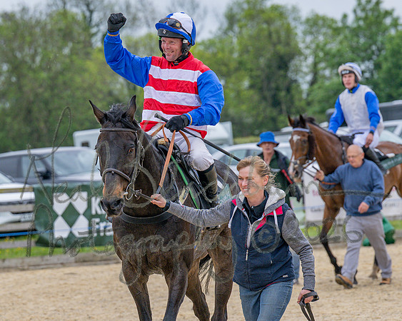 Race 2 - Conditions 2 miles 4 Furlongs (101 of 112)