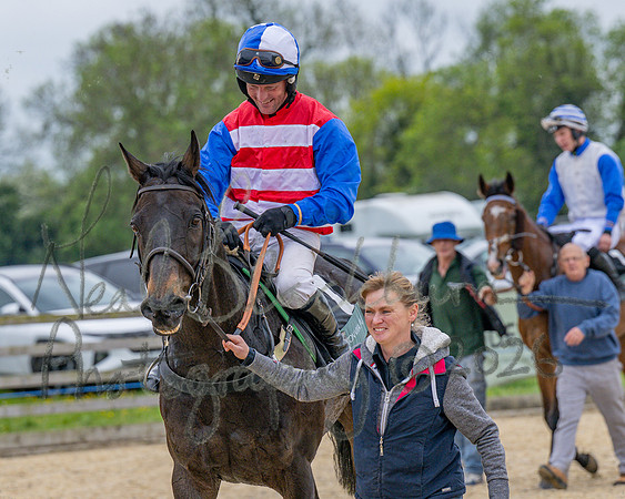 Race 2 - Conditions 2 miles 4 Furlongs (102 of 112)