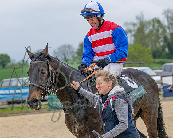 Race 2 - Conditions 2 miles 4 Furlongs (103 of 112)
