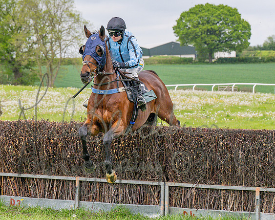 Race 3 - Mixed Open (28 of 95)