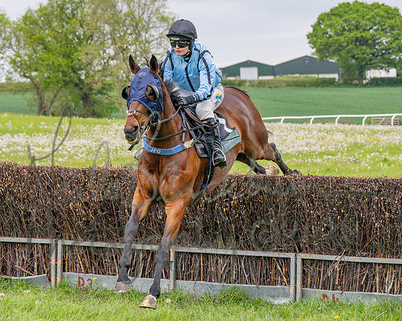 Race 3 - Mixed Open (30 of 95)