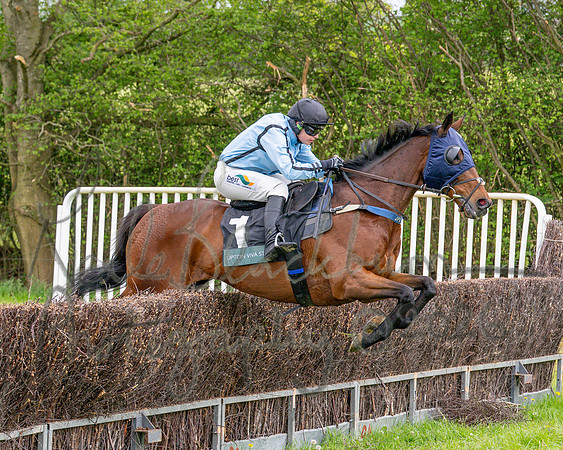 Race 3 - Mixed Open (38 of 95)