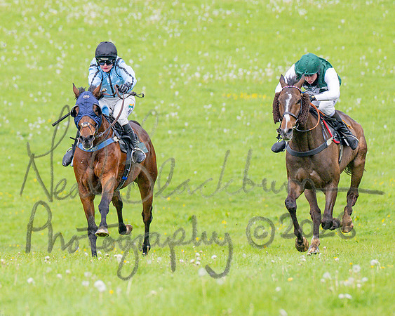 Race 3 - Mixed Open (50 of 95)