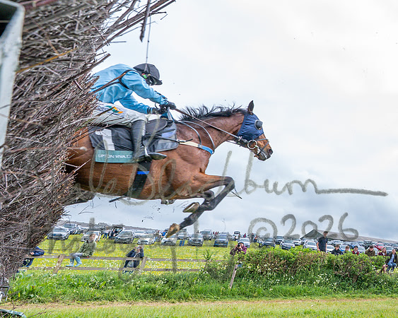 Race 3 - Mixed Open (54 of 95)