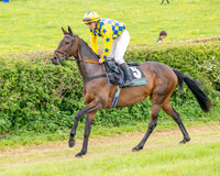 Race 5 - Restricted (3 of 155)