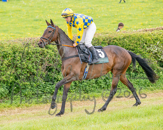 Race 5 - Restricted (3 of 155)