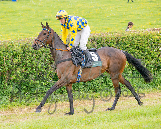 Race 5 - Restricted (4 of 155)