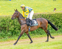 Race 5 - Restricted (5 of 155)