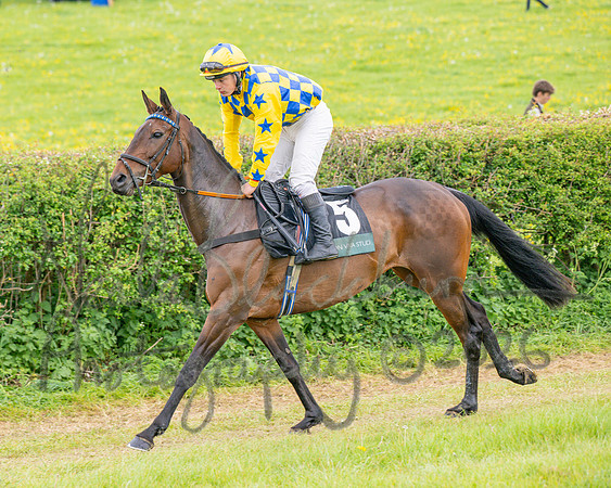 Race 5 - Restricted (5 of 155)