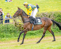 Race 5 - Restricted (6 of 155)