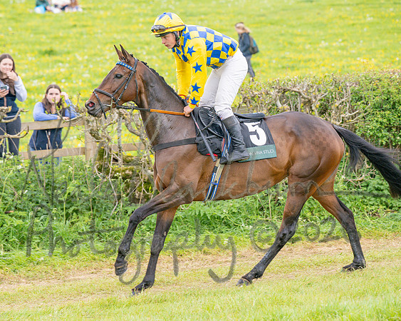 Race 5 - Restricted (6 of 155)
